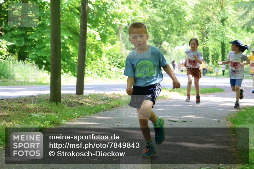 17.05.2025 - Störlauf Strokosch-Dieckow http://msf.ph/oto/7849843 17.05.2025 13:56:12 Laufen 394, 382 meine-sportfotos.de