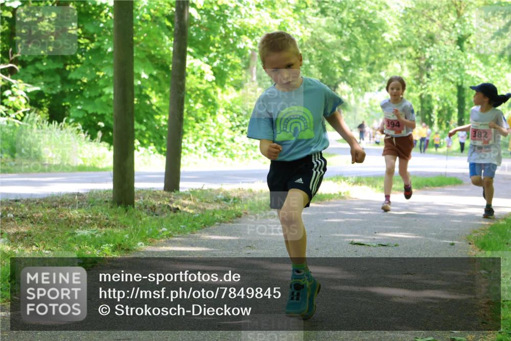 17.05.2025 - Störlauf Strokosch-Dieckow http://msf.ph/oto/7849845 17.05.2025 13:56:12 Laufen 394, 382 meine-sportfotos.de