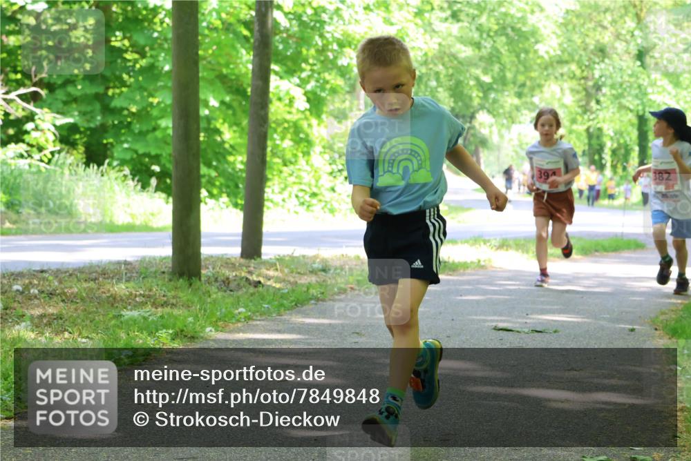 17.05.2025 - Störlauf Strokosch-Dieckow http://msf.ph/oto/7849848 17.05.2025 13:56:12 Laufen 394, 382 meine-sportfotos.de