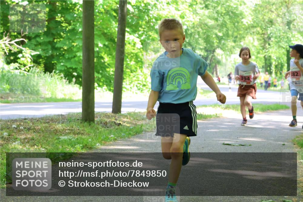 17.05.2025 - Störlauf Strokosch-Dieckow http://msf.ph/oto/7849850 17.05.2025 13:56:12 Laufen 394, 382 meine-sportfotos.de