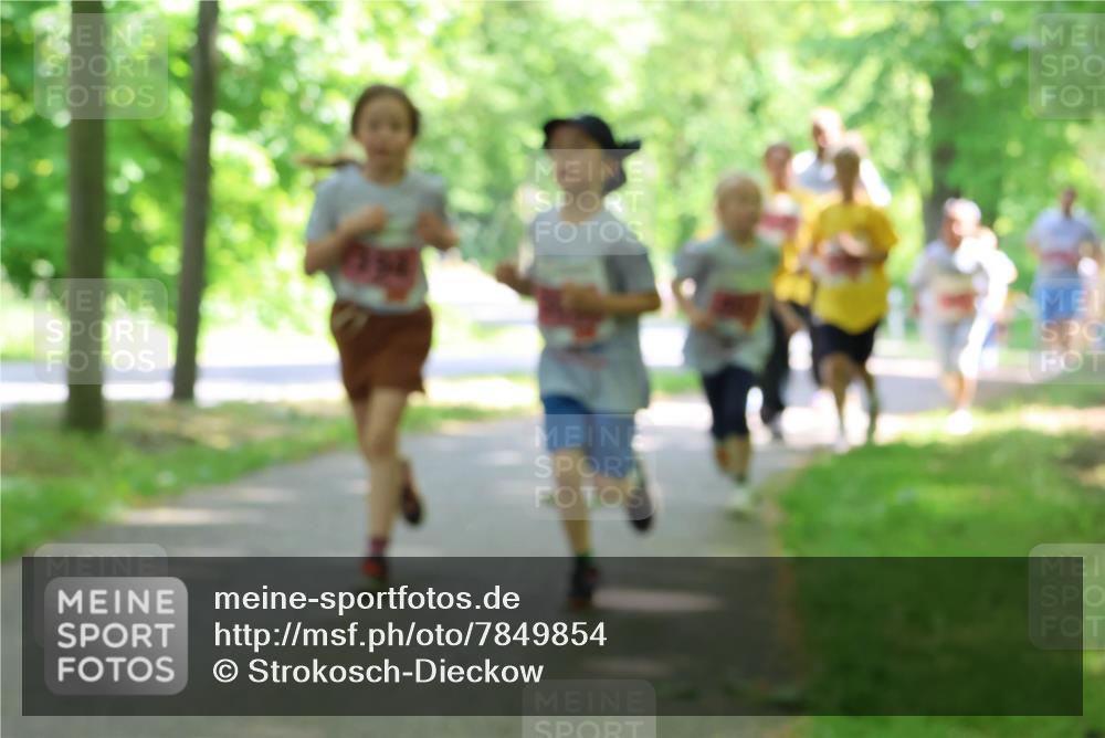 17.05.2025 - Störlauf Strokosch-Dieckow http://msf.ph/oto/7849854 17.05.2025 13:56:15 Laufen  meine-sportfotos.de