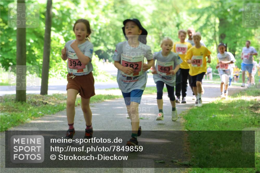 17.05.2025 - Störlauf Strokosch-Dieckow http://msf.ph/oto/7849859 17.05.2025 13:56:15 Laufen 394, 282, 463, 14, 607 meine-sportfotos.de