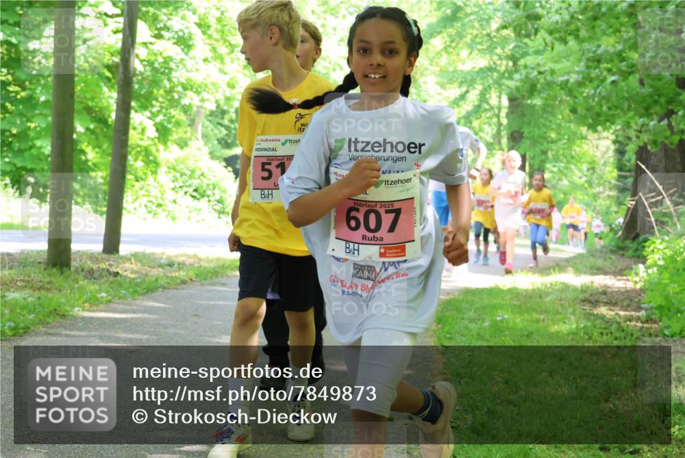 17.05.2025 - Störlauf Strokosch-Dieckow http://msf.ph/oto/7849873 17.05.2025 13:56:20 Laufen 207, 51, 2025, 607, 9 meine-sportfotos.de