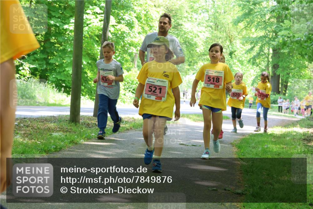 17.05.2025 - Störlauf Strokosch-Dieckow http://msf.ph/oto/7849876 17.05.2025 13:56:22 Laufen 43, 521, 518, 520 meine-sportfotos.de