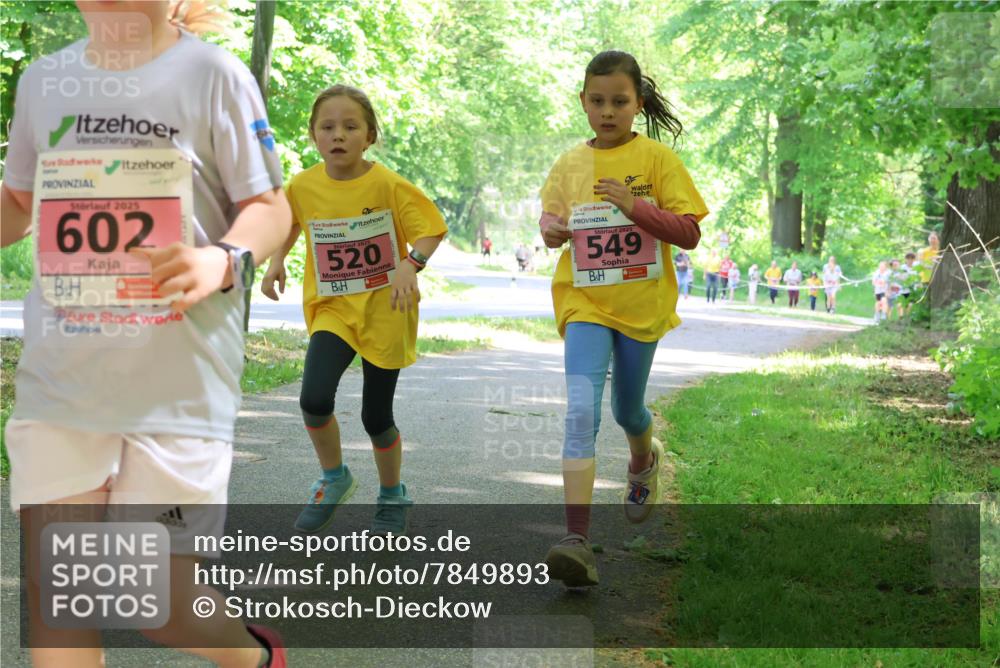 17.05.2025 - Störlauf Strokosch-Dieckow http://msf.ph/oto/7849893 17.05.2025 13:56:26 Laufen 2025, 602, 2025, 520, 2025, 549 meine-sportfotos.de