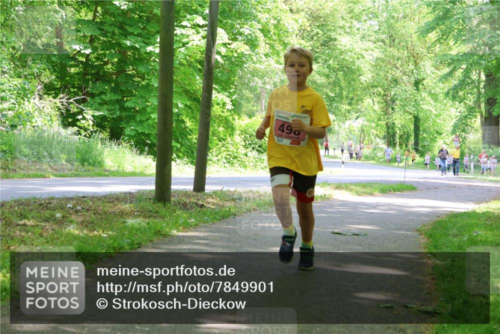 17.05.2025 - Störlauf Strokosch-Dieckow http://msf.ph/oto/7849901 17.05.2025 13:56:29 Laufen 496 meine-sportfotos.de