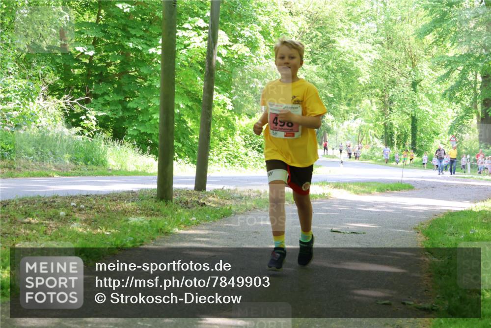 17.05.2025 - Störlauf Strokosch-Dieckow http://msf.ph/oto/7849903 17.05.2025 13:56:29 Laufen 450 meine-sportfotos.de