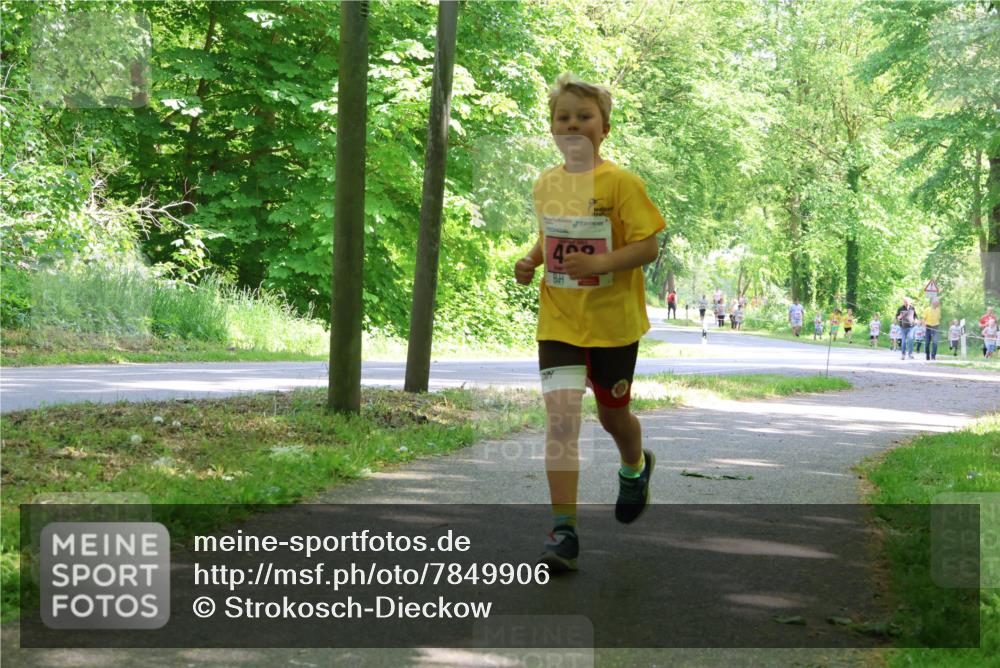 17.05.2025 - Störlauf Strokosch-Dieckow http://msf.ph/oto/7849906 17.05.2025 13:56:29 Laufen 409 meine-sportfotos.de