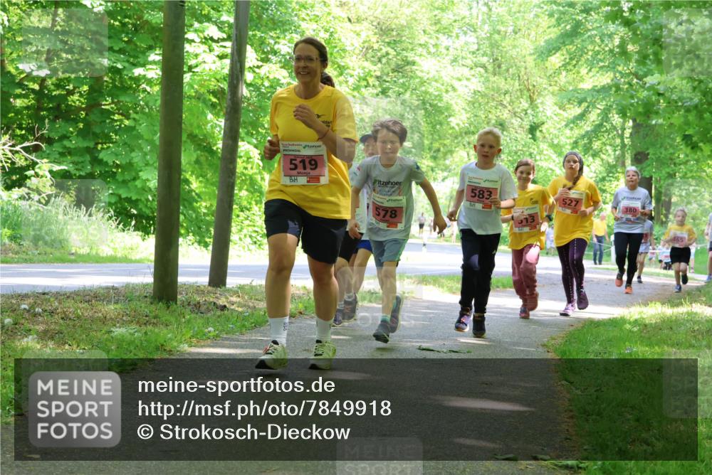 17.05.2025 - Störlauf Strokosch-Dieckow http://msf.ph/oto/7849918 17.05.2025 13:56:37 Laufen 519, 578, 583, 513, 527, 380, 465 meine-sportfotos.de