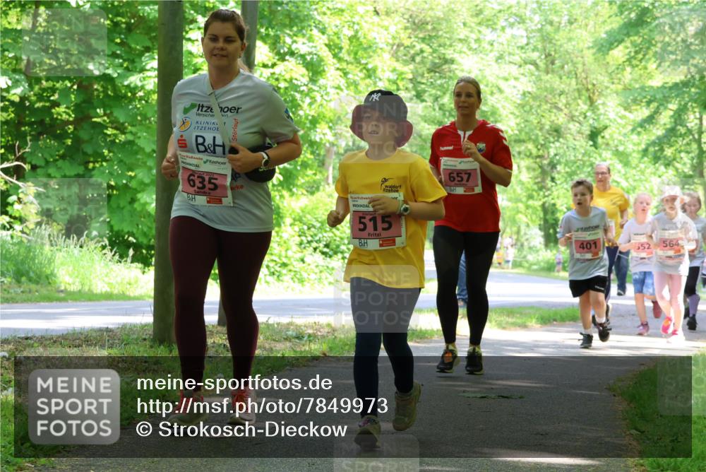 17.05.2025 - Störlauf Strokosch-Dieckow http://msf.ph/oto/7849973 17.05.2025 13:56:53 Laufen 1, 635, 657, 515, 401, 552, 564 meine-sportfotos.de