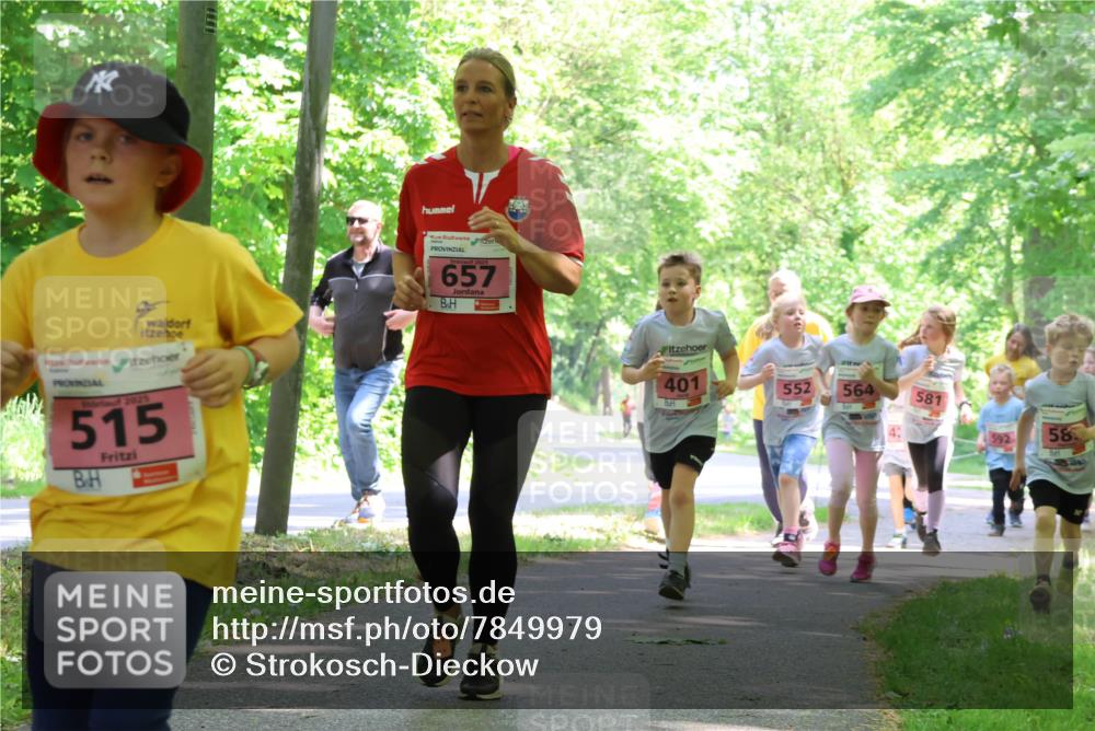 17.05.2025 - Störlauf Strokosch-Dieckow http://msf.ph/oto/7849979 17.05.2025 13:56:54 Laufen 2025, 515, 657, 401, 552, 564, 581, 58 meine-sportfotos.de