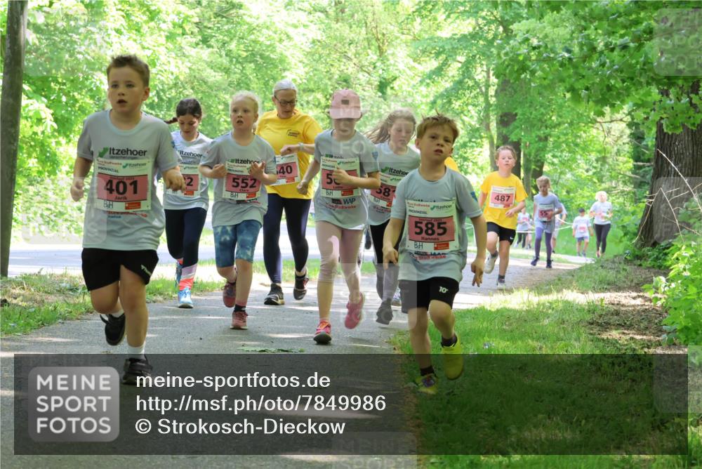 17.05.2025 - Störlauf Strokosch-Dieckow http://msf.ph/oto/7849986 17.05.2025 13:56:56 Laufen 401, 552, 40, 5, 58, 585, 487, 10 meine-sportfotos.de