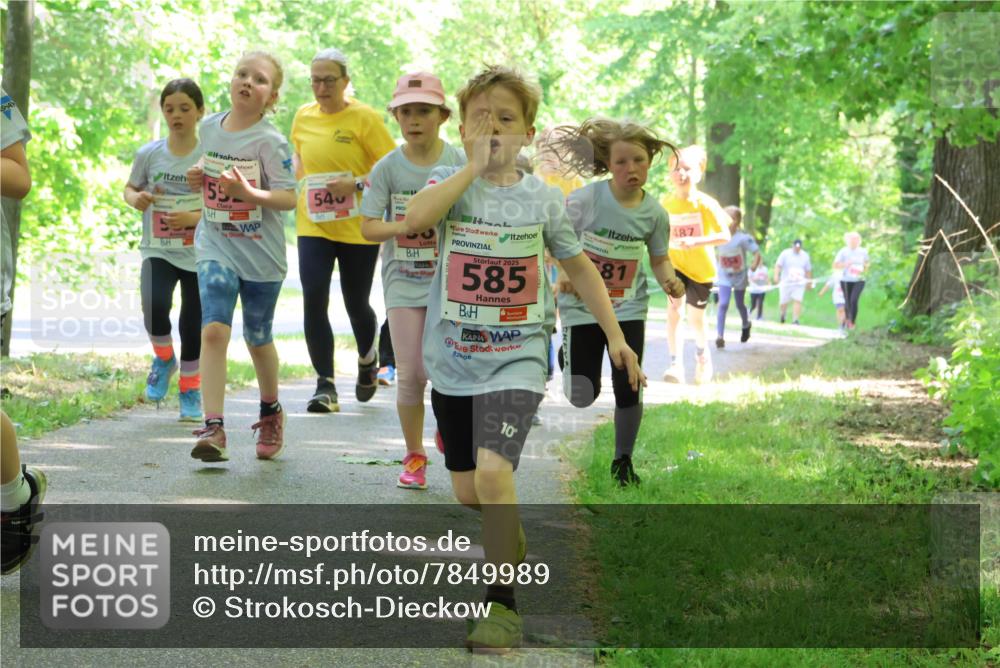 17.05.2025 - Störlauf Strokosch-Dieckow http://msf.ph/oto/7849989 17.05.2025 13:56:56 Laufen 59, 540, 2025, 585, 81, 10, 487 meine-sportfotos.de