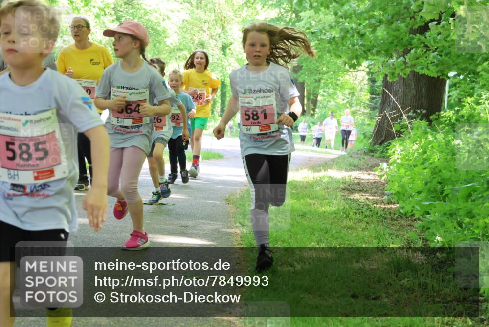 17.05.2025 - Störlauf Strokosch-Dieckow http://msf.ph/oto/7849993 17.05.2025 13:56:57 Laufen 2025, 585, 635, 2025, 564, 26, 192, 526, 581, 10 meine-sportfotos.de