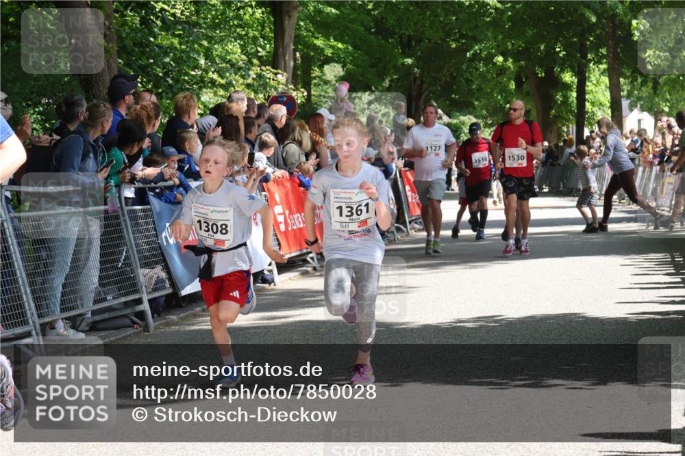 17.05.2025 - Störlauf Strokosch-Dieckow http://msf.ph/oto/7850028 17.05.2025 14:42:26 Ziel 1308, 1361, 1127, 1518, 1530 meine-sportfotos.de