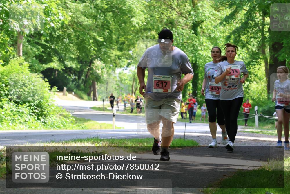 17.05.2025 - Störlauf Strokosch-Dieckow http://msf.ph/oto/7850042 17.05.2025 13:57:18 Laufen 617, 413, 515, 402 meine-sportfotos.de