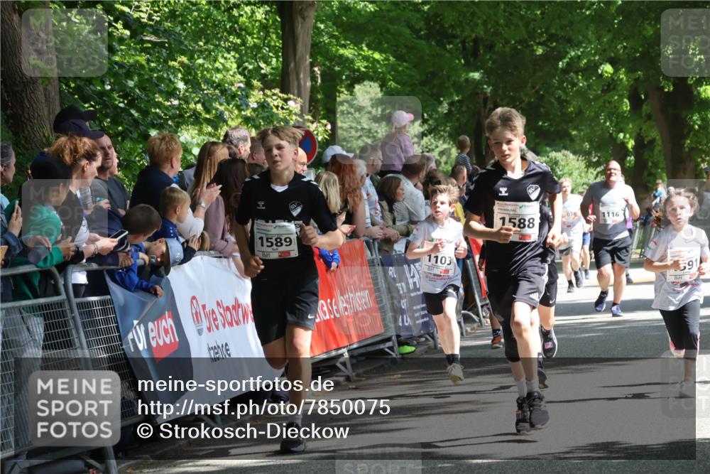17.05.2025 - Störlauf Strokosch-Dieckow http://msf.ph/oto/7850075 17.05.2025 14:42:51 Ziel 1589, 1103, 1588, 03, 1116, 591 meine-sportfotos.de
