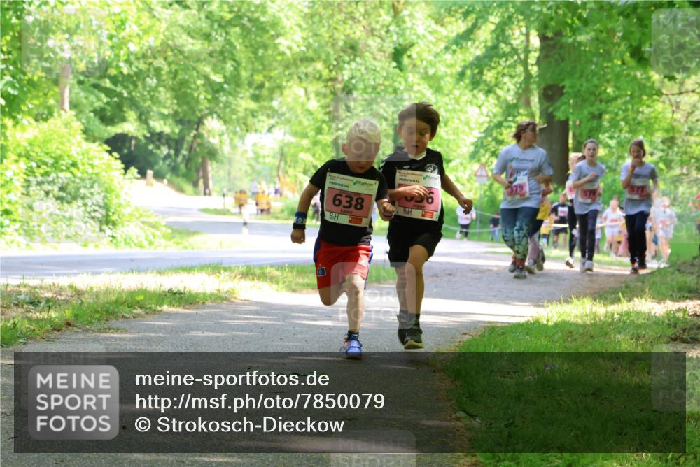 17.05.2025 - Störlauf Strokosch-Dieckow http://msf.ph/oto/7850079 17.05.2025 13:57:36 Laufen 638 meine-sportfotos.de