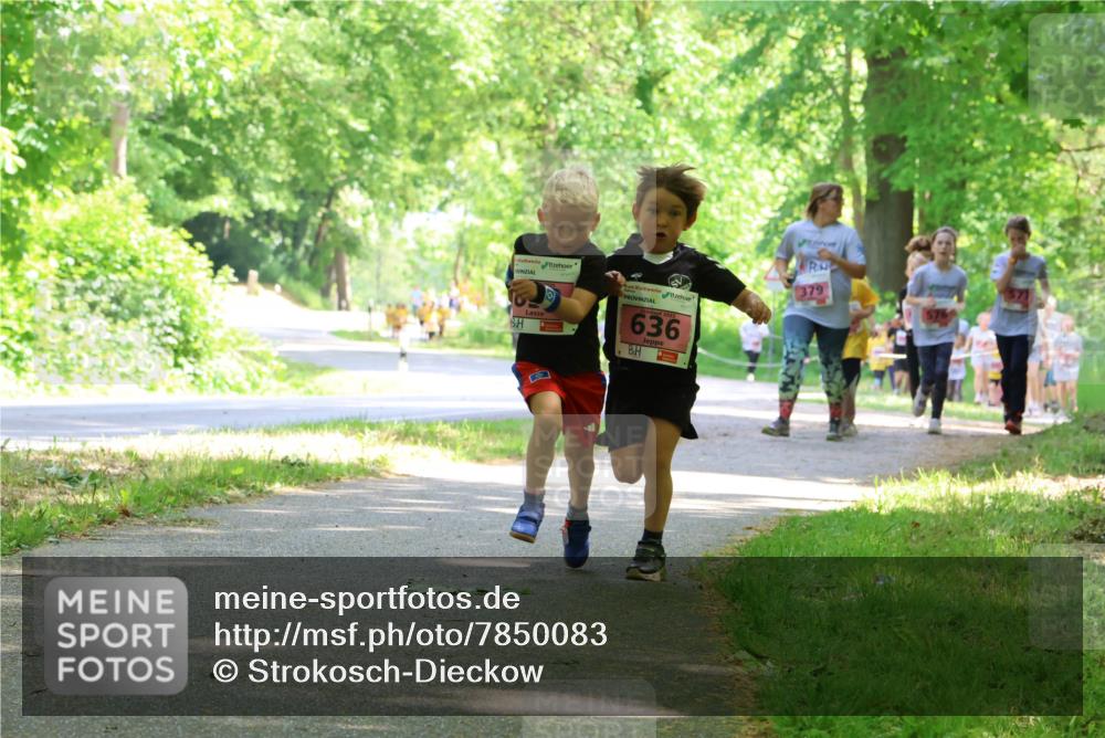 17.05.2025 - Störlauf Strokosch-Dieckow http://msf.ph/oto/7850083 17.05.2025 13:57:36 Laufen 636, 379, 577 meine-sportfotos.de