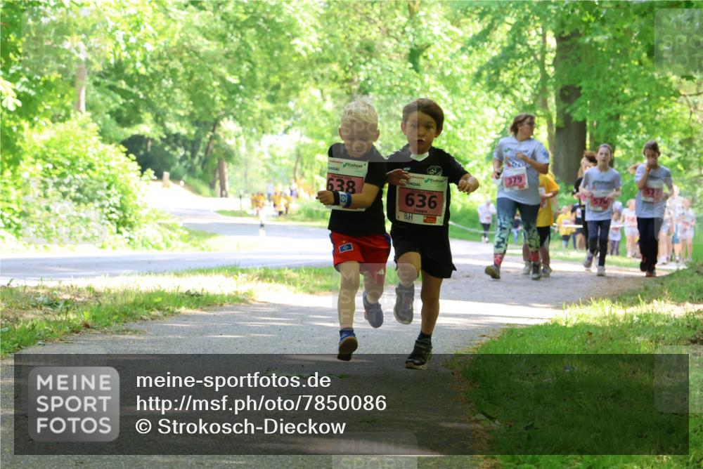 17.05.2025 - Störlauf Strokosch-Dieckow http://msf.ph/oto/7850086 17.05.2025 13:57:36 Laufen 2025, 638, 636, 379, 576 meine-sportfotos.de