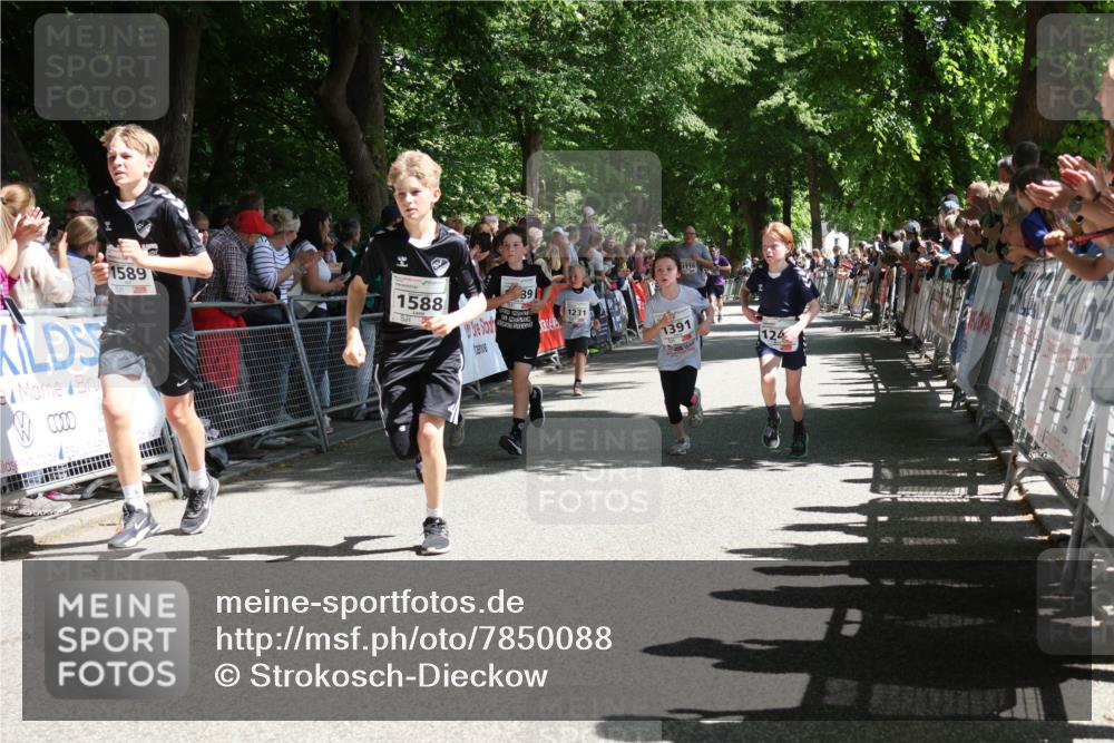 17.05.2025 - Störlauf Strokosch-Dieckow http://msf.ph/oto/7850088 17.05.2025 14:42:54 Ziel 0000, 1589, 1588, 39, 1231, 1116, 1391, 124 meine-sportfotos.de
