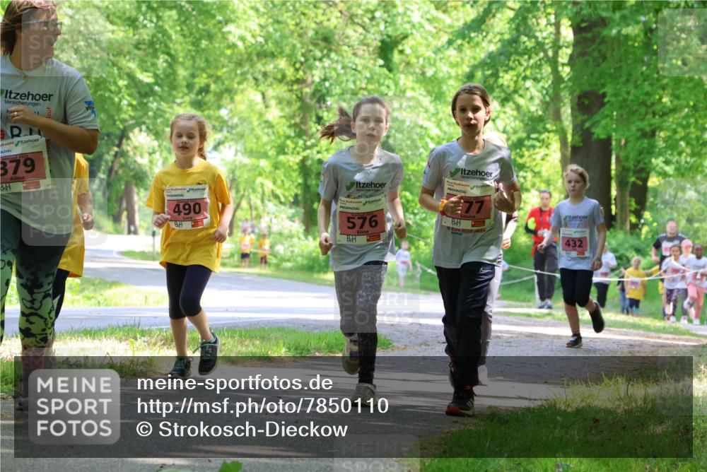 17.05.2025 - Störlauf Strokosch-Dieckow http://msf.ph/oto/7850110 17.05.2025 13:57:41 Laufen 2025, 379, 2025, 490, 576, 77, 432 meine-sportfotos.de