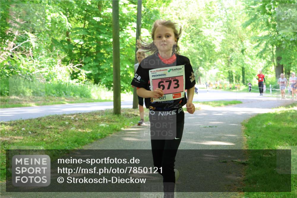 17.05.2025 - Störlauf Strokosch-Dieckow http://msf.ph/oto/7850121 17.05.2025 13:57:48 Laufen 2025, 673 meine-sportfotos.de