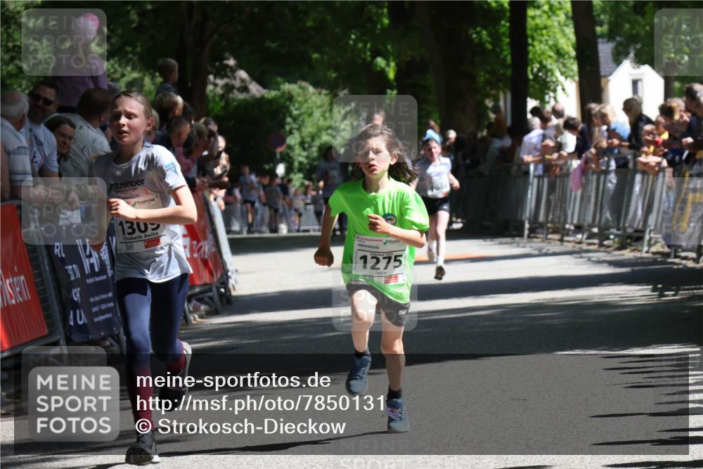 17.05.2025 - Störlauf Strokosch-Dieckow http://msf.ph/oto/7850131 17.05.2025 14:43:09 Ziel 1302, 1275 meine-sportfotos.de