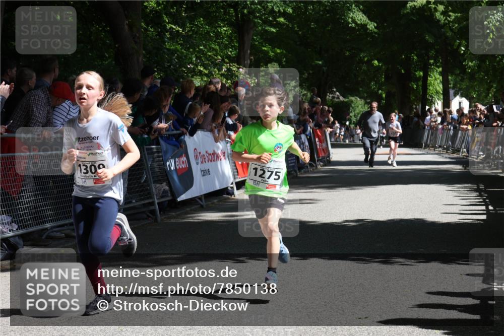 17.05.2025 - Störlauf Strokosch-Dieckow http://msf.ph/oto/7850138 17.05.2025 14:43:12 Ziel 2025, 1309, 1275 meine-sportfotos.de