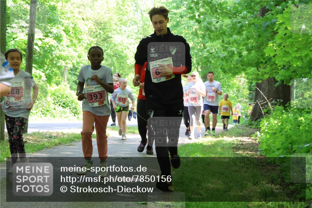 17.05.2025 - Störlauf Strokosch-Dieckow http://msf.ph/oto/7850156 17.05.2025 13:57:59 Laufen 2025, 88, 2025, 393, 612, 626, 373 meine-sportfotos.de