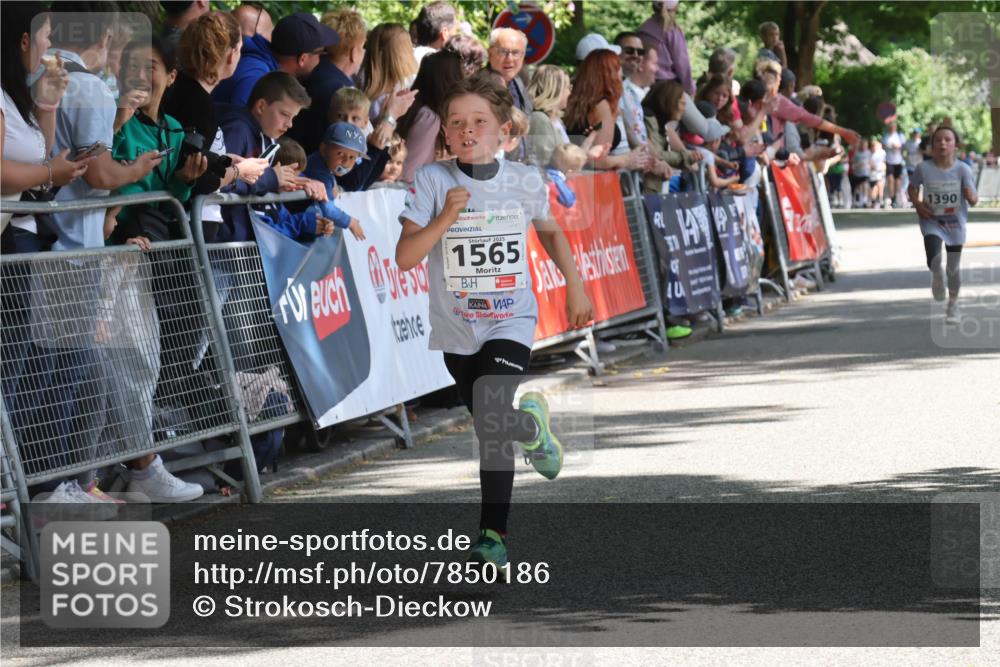 17.05.2025 - Störlauf Strokosch-Dieckow http://msf.ph/oto/7850186 17.05.2025 14:43:41 Ziel 2025, 1565, 1390 meine-sportfotos.de