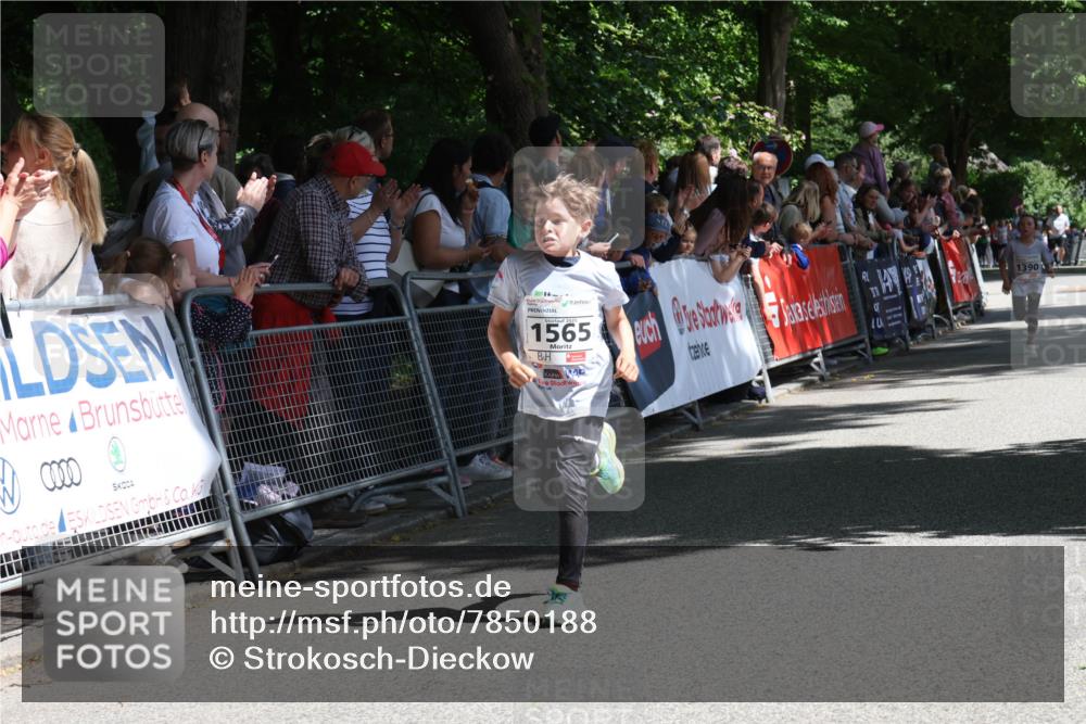 17.05.2025 - Störlauf Strokosch-Dieckow http://msf.ph/oto/7850188 17.05.2025 14:43:41 Ziel 0000, 1565, 31, 40, 1390 meine-sportfotos.de