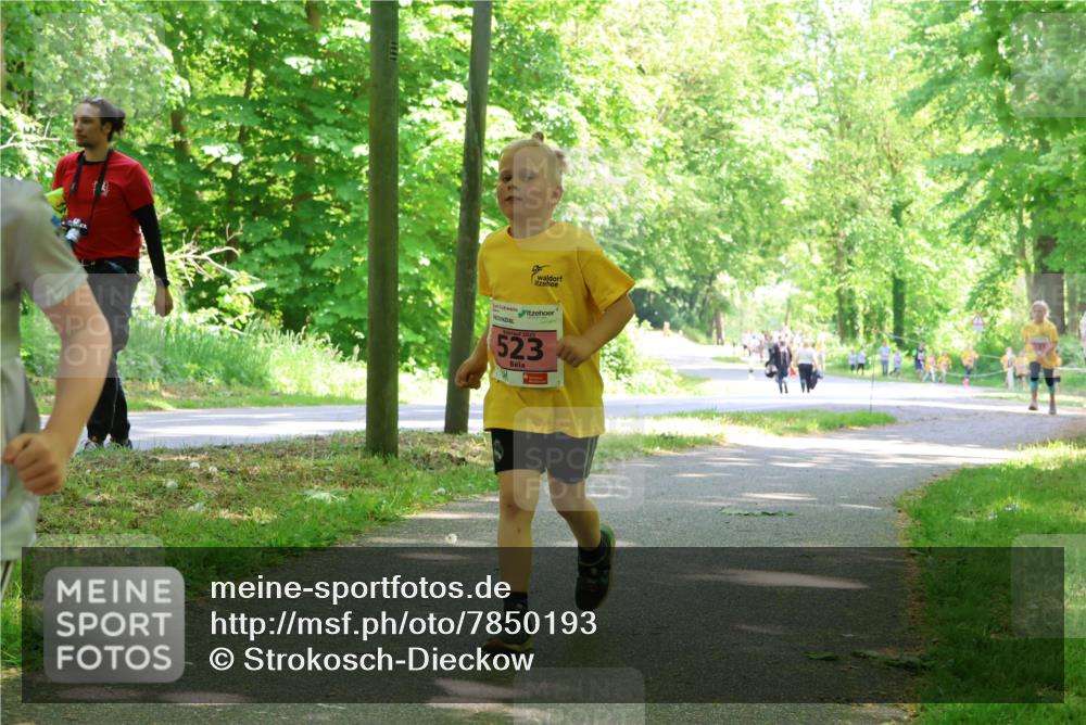 17.05.2025 - Störlauf Strokosch-Dieckow http://msf.ph/oto/7850193 17.05.2025 13:58:08 Laufen 523 meine-sportfotos.de