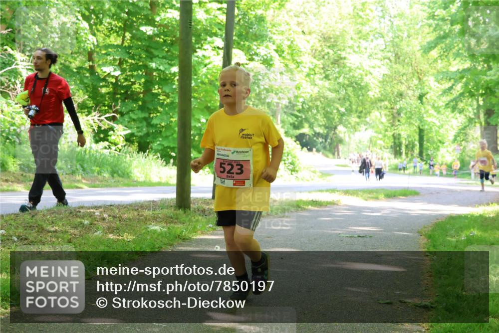 17.05.2025 - Störlauf Strokosch-Dieckow http://msf.ph/oto/7850197 17.05.2025 13:58:08 Laufen 523 meine-sportfotos.de