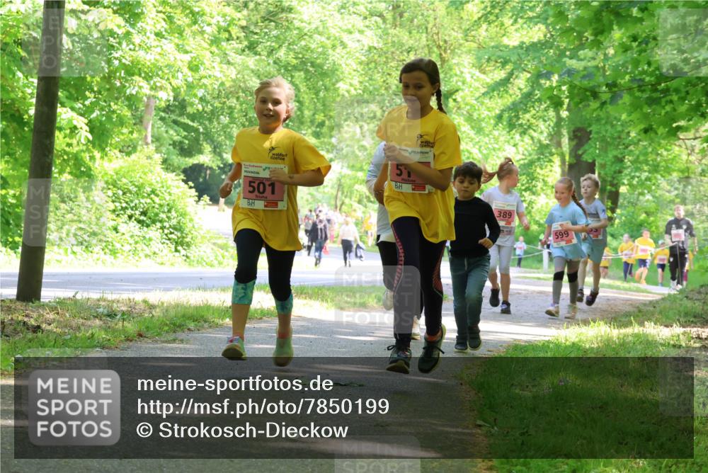 17.05.2025 - Störlauf Strokosch-Dieckow http://msf.ph/oto/7850199 17.05.2025 13:58:14 Laufen 501, 151, 389, 599 meine-sportfotos.de