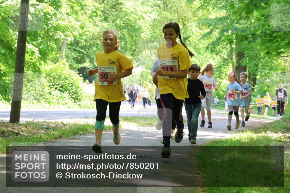 17.05.2025 - Störlauf Strokosch-Dieckow http://msf.ph/oto/7850201 17.05.2025 13:58:14 Laufen 50, 511, 389, 599 meine-sportfotos.de
