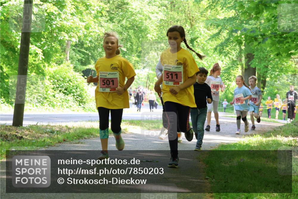 17.05.2025 - Störlauf Strokosch-Dieckow http://msf.ph/oto/7850203 17.05.2025 13:58:14 Laufen 2025, 511, 501, 389, 59, 433 meine-sportfotos.de