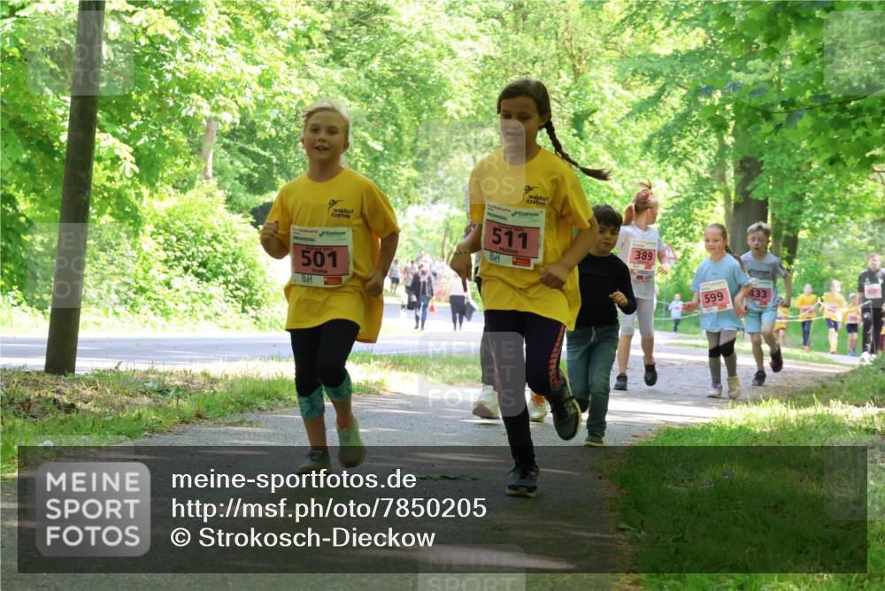 17.05.2025 - Störlauf Strokosch-Dieckow http://msf.ph/oto/7850205 17.05.2025 13:58:14 Laufen 501, 511, 389, 599, 433 meine-sportfotos.de