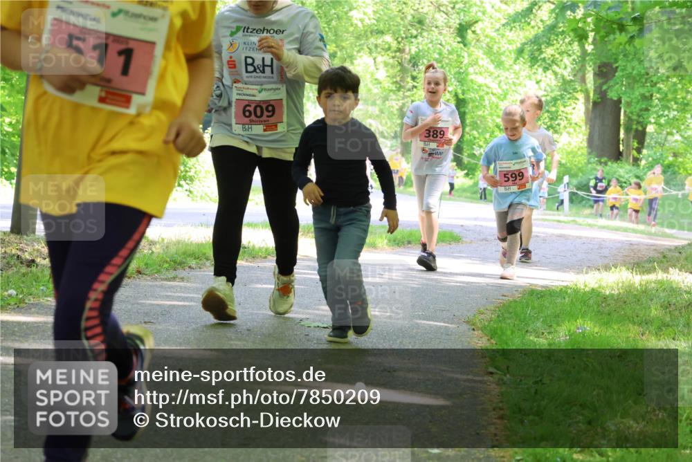 17.05.2025 - Störlauf Strokosch-Dieckow http://msf.ph/oto/7850209 17.05.2025 13:58:16 Laufen 511, 609, 389, 599 meine-sportfotos.de