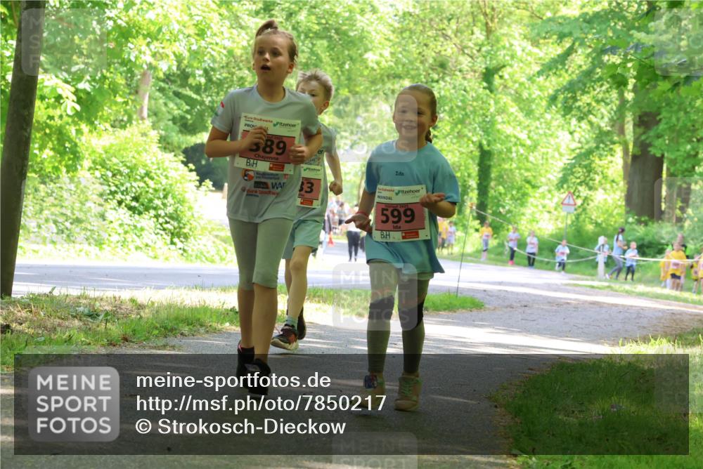 17.05.2025 - Störlauf Strokosch-Dieckow http://msf.ph/oto/7850217 17.05.2025 13:58:18 Laufen 389, 3, 599 meine-sportfotos.de