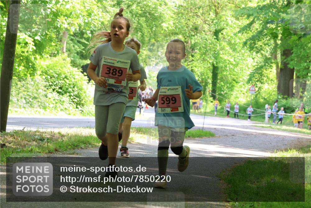 17.05.2025 - Störlauf Strokosch-Dieckow http://msf.ph/oto/7850220 17.05.2025 13:58:18 Laufen 2025, 389, 3, 599 meine-sportfotos.de