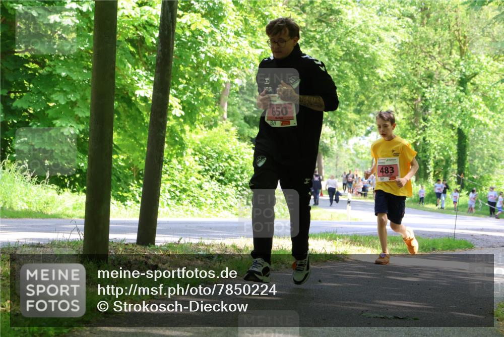17.05.2025 - Störlauf Strokosch-Dieckow http://msf.ph/oto/7850224 17.05.2025 13:58:27 Laufen 650, 483 meine-sportfotos.de