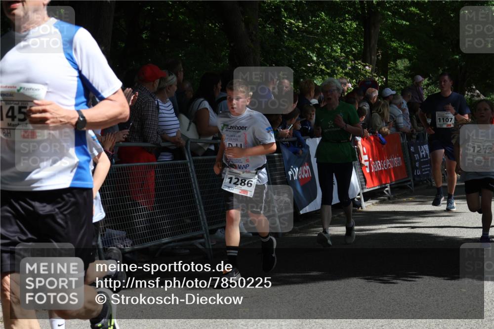 17.05.2025 - Störlauf Strokosch-Dieckow http://msf.ph/oto/7850225 17.05.2025 14:44:07 Ziel 2025, 145, 1286, 1107, 1212, 40 meine-sportfotos.de