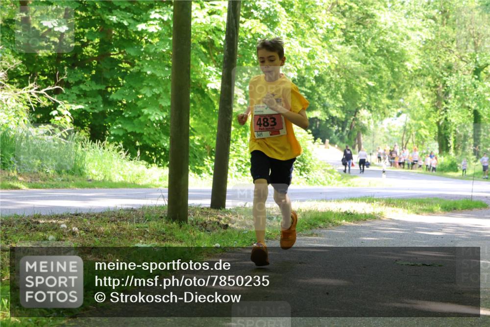 17.05.2025 - Störlauf Strokosch-Dieckow http://msf.ph/oto/7850235 17.05.2025 13:58:30 Laufen 483 meine-sportfotos.de