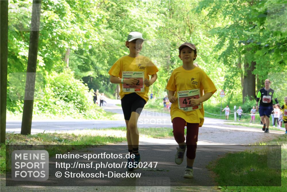 17.05.2025 - Störlauf Strokosch-Dieckow http://msf.ph/oto/7850247 17.05.2025 13:58:38 Laufen 2025, 4, 436 meine-sportfotos.de