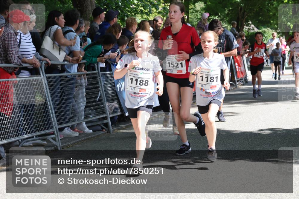 17.05.2025 - Störlauf Strokosch-Dieckow http://msf.ph/oto/7850251 17.05.2025 14:44:15 Ziel 2025, 1188, 1521, 1181, 1378, 10, 1237 meine-sportfotos.de