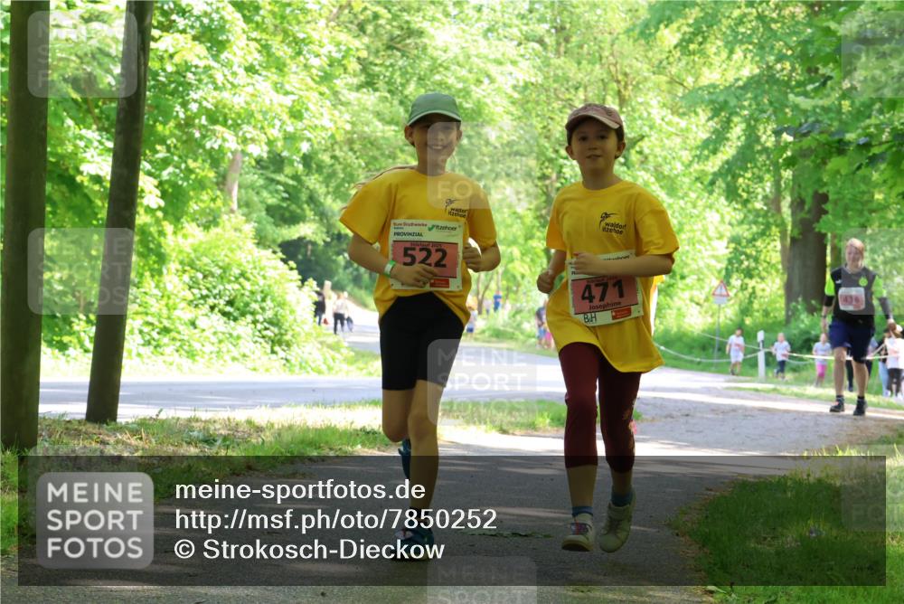 17.05.2025 - Störlauf Strokosch-Dieckow http://msf.ph/oto/7850252 17.05.2025 13:58:38 Laufen 2025, 522, 471, 436 meine-sportfotos.de