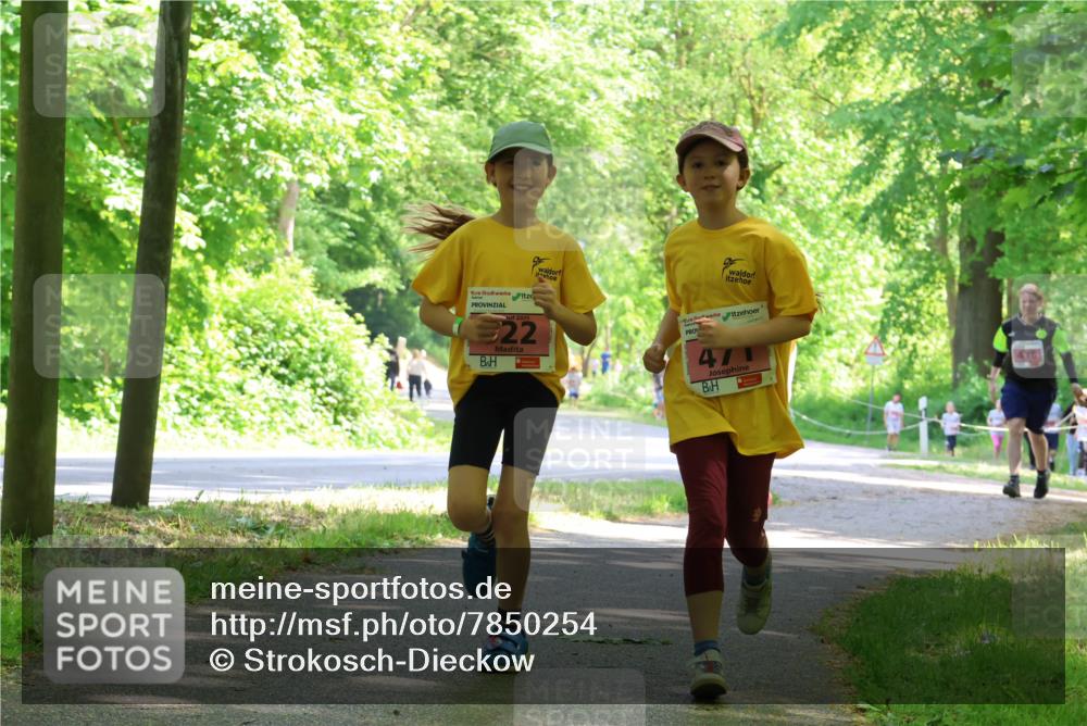 17.05.2025 - Störlauf Strokosch-Dieckow http://msf.ph/oto/7850254 17.05.2025 13:58:38 Laufen 22, 471, 436 meine-sportfotos.de