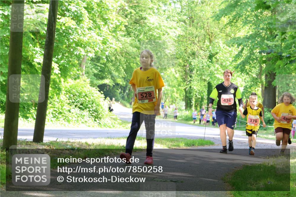 17.05.2025 - Störlauf Strokosch-Dieckow http://msf.ph/oto/7850258 17.05.2025 13:58:43 Laufen 528, 436, 480, 376 meine-sportfotos.de