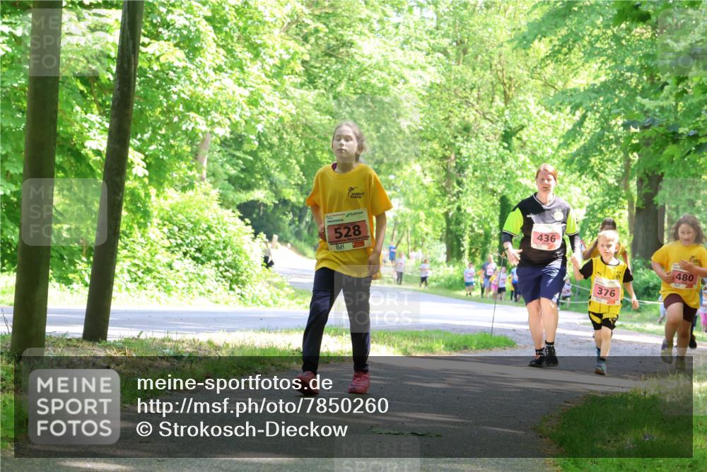 17.05.2025 - Störlauf Strokosch-Dieckow http://msf.ph/oto/7850260 17.05.2025 13:58:43 Laufen 528, 436, 376, 480 meine-sportfotos.de